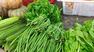 Sayur Organik Segar